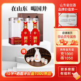 国井白酒 42度国6 纯粮食酿造 商务用酒送礼喜宴白酒 山东特产名酒 42度 480mL 2瓶 礼盒装送礼品袋