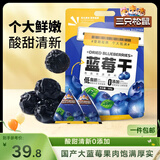 三只松鼠每日蓝莓干500g 蜜饯果干酸甜休闲零食下午茶孕妇儿童健康零食