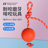 波奇多 穿绳拔河球小号 狗狗磨牙玩具球解闷绳结狗玩具宠物玩具球小型犬