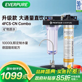 爱惠浦（Everpure）家用厨下直饮 长寿命滤芯 大流量0废水 4升/分钟 10000L额定净水量净水器4FCS-CN  