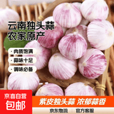 【东东买菜】云南干独头蒜独蒜烹饪炒菜大蒜头小蒜干蒜农家 7颗