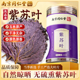 丽天承 南京同仁堂紫苏叶茶新鲜干货紫苏叶籽榨油茶养生茶泡水喝100g