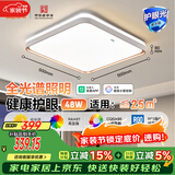 佛山照明客厅吸顶灯智控灯具简约现代LED卧室书房灯48W宇汐