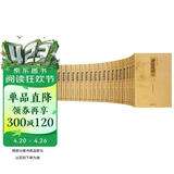 资治通鉴（套装共20册 文白对照 精注精译）