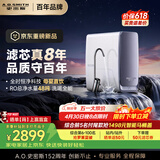 史密斯（A.O.SMITH）佳尼特【26年新品】蓝鲸1000G家用净水器厨房专用台下用净水机直饮一体机8年RO膜 CR2500AE3