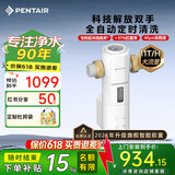 滨特尔（pentair）前置过滤器大通量家用全屋自来水管道过滤器大流量净水器排行前十名水驱涡轮+反冲洗刮洗净水器 【上门安装】S260全自动-40μm