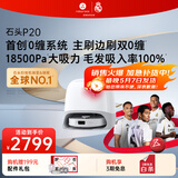 石头（roborock）扫地机器人扫拖一体 P20 扫拖洗烘一体机 自动集尘烘干补水擦地拖地洗地机吸尘器 A1690RR