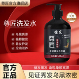 晨晗尊匠洗发水侧柏叶人参变黑发植物防断健发养护白发男女正品旗舰店 【体验装】洗发水1瓶