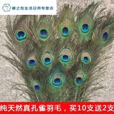 君默天然真孔雀尾羽羽毛翎尾大眼睛 客厅摆件花瓶插花装饰品diy配件孔 90-100厘米：优选大眼睛12支