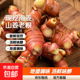 现挖新鲜精选南姜蔬菜大葱辣椒姜蒜组合调味配料煲汤山姜头老姜 新鲜现挖南姜/山姜头【5斤净重】