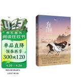 有匪1：少年游——赵丽颖、王一博领衔主演电视剧《有翡》原著小说