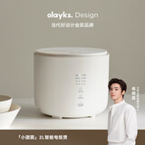 olayks立时 迷你电饭煲家用2-3人  陶瓷釉内胆煮饭锅多功能不粘锅煮粥汤智能柴火饭锅OLK-20C