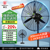 华生（Wahson）工业风扇电风扇强力超大落地扇大风力工厂车间工业扇商用扇牛角扇交流定频工业电风扇FL-75加强版A