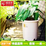 爱丽思（IRIS）Deepot深型花盆大号口径家用树脂塑料加仑月季绣球龟背竹专用植物 14号 浅绿色  (口径46.5cm)约42L