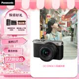 松下S9（18-40mm F4.5-6.3）套机 （Panasonic）全画幅微单 实时Lut 滤镜直出 连接app极速分享-灰银