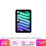 Apple/苹果 iPad mini (A17 Pro) 8.3英寸 平板电脑(256G eSIM版/mini7/MXQ43CH/A)深空灰色