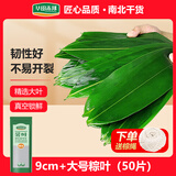 华田禾邦粽子叶9cm+新鲜宽粽叶50片 特大叶箬叶竹叶芦苇叶 端午节包粽子
