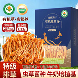 福东海 有机虫草花100g 【特级】蛹虫草金大孢子头食用菌菇煲汤火锅食材