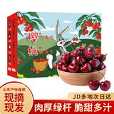 好媛好宇山东大樱桃【JD顺丰多地次日达】车厘子樱桃孕妇新鲜水果礼盒礼品 1.5斤(净重) 整箱2斤悦享礼盒【较划算】 【高复购率】3JJJ级巨无霸单果约12-15g