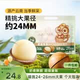 三只松鼠夏威夷果500g约24-26mm儿童每日坚果炒货休闲零食团购送礼