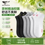 七匹狼[茶树精油]袜子男纯棉夏船袜10A抗菌消臭吸汗透气运动抗起球短袜