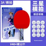 双鱼（DOUBLE FISH） 乒乓球拍初学者成品拍双面反胶皮套装快攻型学生业余训练乒乓拍 横拍 3A+横拍（单）12球