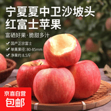 宁夏中卫沙坡头红富士苹果新鲜水果当季脆甜多汁正宗整箱富硒苹果 80mm-85mm 8.5斤净果（带箱9斤）