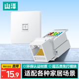 山泽网络口面板 超五类千兆网线免打模块面板插座套装86型加厚 单口面板+超五类模块 SZ-MBT15
