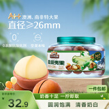 三只松鼠大颗粒夏威夷果500g罐装 坚果炒货干果休闲零食送礼一斤装