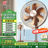 华生（Wahson）电风扇/落地扇/金属铝叶风扇/家用豪华办公电扇/大风量低噪省电立式电扇交流定频FS-35