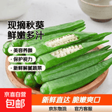 新鲜水果秋葵黄秋葵现摘现发生鲜蔬菜凉拌烧烤火锅食材减肥瘦身 现摘新鲜秋葵（秋葵控） 4斤
