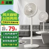 志高（CHIGO） 电风扇落地扇家用立式电扇台扇摇头扇小型办公室宿舍家用风扇遥控空气循环风扇 中号机械款7叶（标准型）