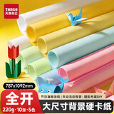 天章 （TANGO）彩色卡纸全开220g五色混装加厚大尺寸海报纸787*1092儿童绘画手工硬卡纸10张新绿天章P90072