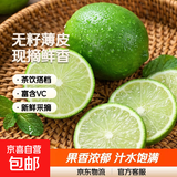 广西塔希提无籽青柠檬薄皮新鲜现摘青柠香水柠檬【百补优选】 【10个】塔希提青柠檬 单果净重50g