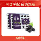 京鲜生 黑莓 2盒装 约110g/盒 新鲜水果