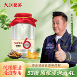 九江双蒸米香型白酒 自饮泡酒米酒53度6年原浆纯粮酒4L散酒人参药材养生酒