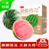 京鲜生 麒麟西瓜 1粒净重7-8斤 生鲜水果源头直发包邮