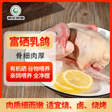 硒全食美无抗富硒乳鸽 300g/只 冷冻 鸽子 全程冷链烧烤食材鸽子肉烤鸽子