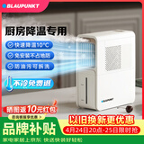 蓝宝（BLAUPUNKT）【厨房降温】冰雾扇电风扇家用空调扇加湿水冷风扇冷风机制冷小空调扇无需冰晶 节能低噪可拆洗 X5