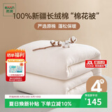 然牌 棉花被 纯棉单人棉被棉絮垫被垫盖两用 春秋被 4斤1.5x2米