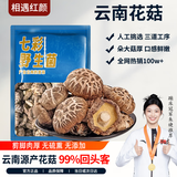 相遇红颜花菇 250g 云南野生菌山珍冬菇香菇食用菌菇南北干货火锅食材