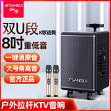 山水（SANSUI）TE06 广场舞音响 8吋低音炮移动户外K歌拉杆音箱无线麦克风摊摆喇叭电木吉他民谣乐器音箱大功率