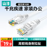 山泽(SAMZHE)超五类网线 CAT5e类高速千兆网线 10米 工程/宽带电脑家用连接跳线 成品网线 贝吉色ZW-10