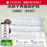 罗莱家纺 枕头枕芯脊椎枕 100%全棉决明子荞麦花草护颈枕 46*72
