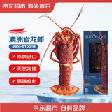 京觅海外直采澳大利亚岩龙虾 490g 盒装 高端海鲜食材 聚餐