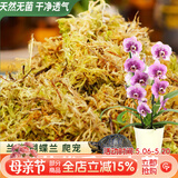 德沃多水苔约12L(特级)营养土爬宠乌龟冬眠蝴蝶兰君子兰花苔藓种植盆栽