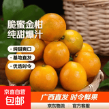 【东东农场专供】广西脆皮金桔纯甜爽口基地直发优选时令蜜桔 脆皮金桔6号果（4-8g/粒） 带箱3斤