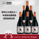 圣丽塔系列智利中央山谷特级珍藏黑皮诺Grand Reserve新世界干红葡萄酒 整箱6支装