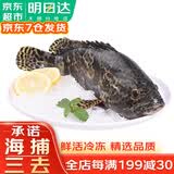哆鲜生 三去石斑鱼 海捕鲜活冷冻东星斑龙趸斑鱼类年货礼盒 三去珍珠斑 净重650-550克