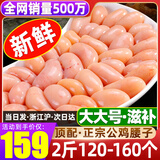 清爵【品质保证】鸡腰子新鲜精选鸡肾鸡腰睾丸公鸡鸡腰子鸡卵鸡子生鲜 大大号【鲜冻鸡腰子】2斤（120-160个）